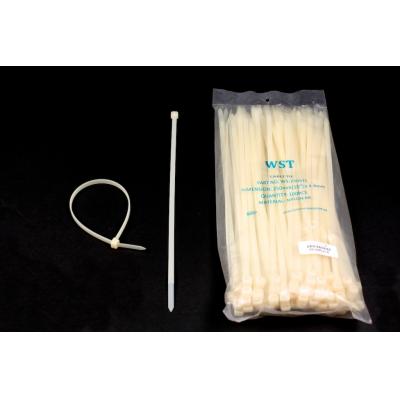 10"/250mm x 4.8mm 電線索帶/膠索/扎帶(100條)