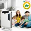 Fellowes DX55 Air Purifier 空氣淨化機系列