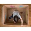 Stabilo 8806-02 Woody 3 in 1 特粗顏色筆(6色)