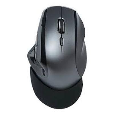 Fujitsu FR500 Full Support Wireless Mouse人體工學無線滑鼠