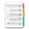 Globe No.2005 A4 11孔 5色紙索引 Index (10set/PK)