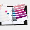 Pantone GB-1507A Metallics Chips Coated