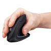 Xpower WM4 無線人體工學直立式Ergonomic Wireless Mouse