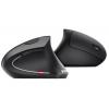 Xpower WM4 無線人體工學直立式Ergonomic Wireless Mouse