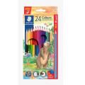 Staedtler 1432C12 雙頭雙色木顏色筆(12支/24色)