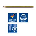 Staedtler Noris jumbo 119 Learner's pencil  HB 珍寶三角鉛筆(12支/盒)